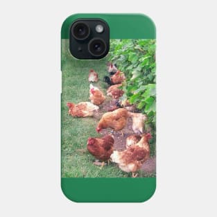 Vineyard With Chickens Phone Case