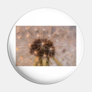 Dandelion 3 Pin