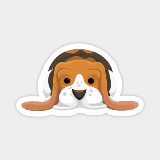 Cartoon Basset Hound Magnet