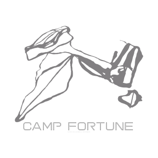 Camp Fortune Resort 3D T-Shirt