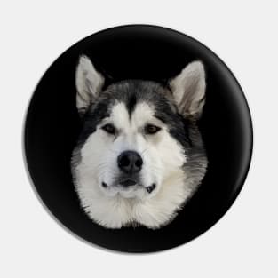 Alaskan Malamute Pin