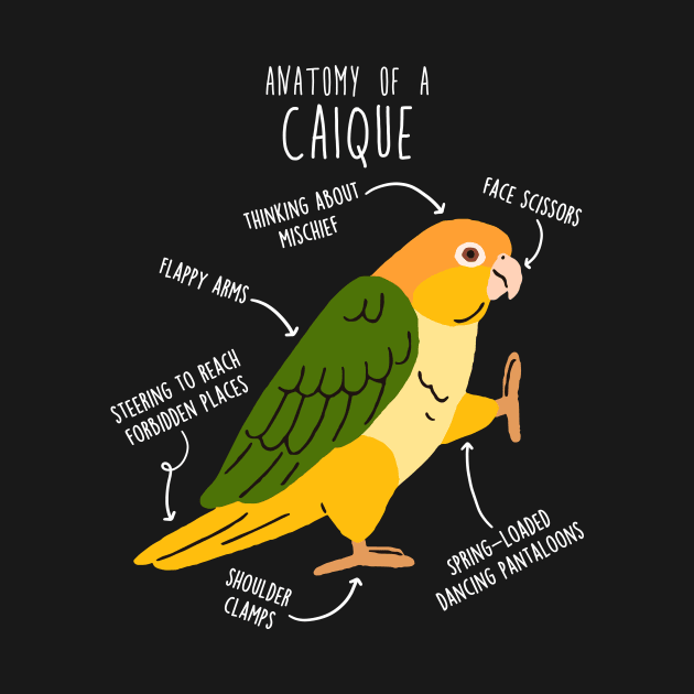 White-bellied Caique Parrot Anatomy by Psitta