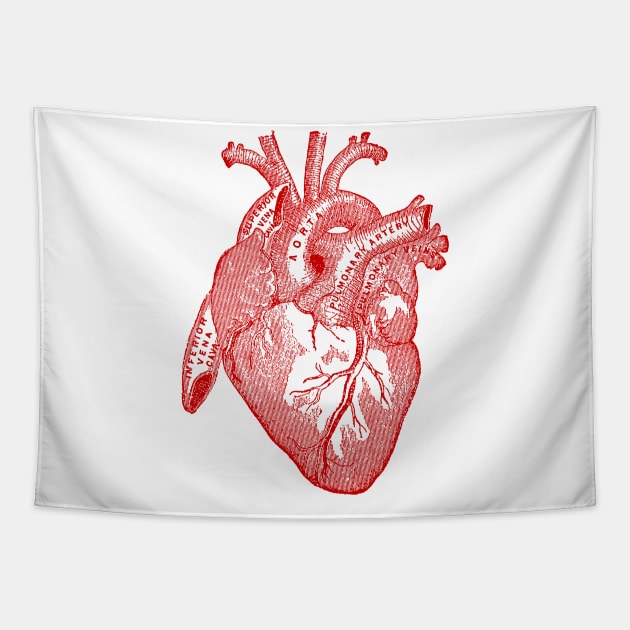 Vintage Medical Illustration of Human Heart Tapestry by Pixelchicken