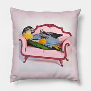 French Birb Pillow