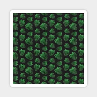 Green Monstera on Black Background Pattern Edit Magnet