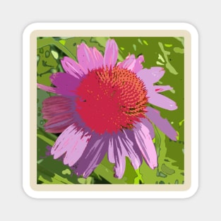 Echinacea, purple flower, green leaves, photography digitally modified Magnet