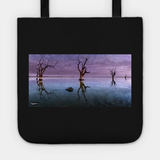 Ghost Gums Tote