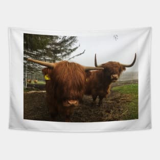 Scottish Highland Cattle Cow and Calf 1994 Tapestry