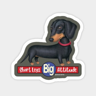 Cute Doxie Dachshund with short legs big attitude Magnet