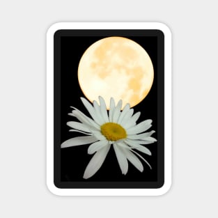 "Moon Picked A Daisy: art print products Magnet