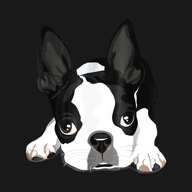 Disover Bostion Terrier Dog - Boston Terrier - T-Shirt