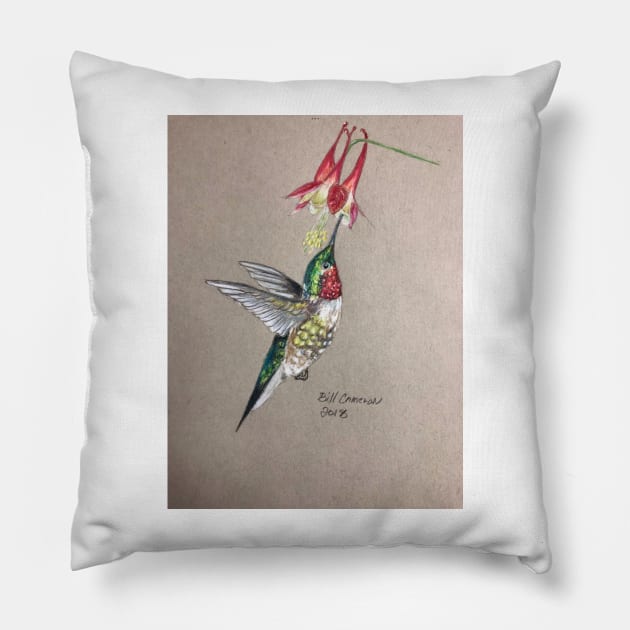 Ruby throated Hummingbird Pillow by Bill Cameron Fine Art