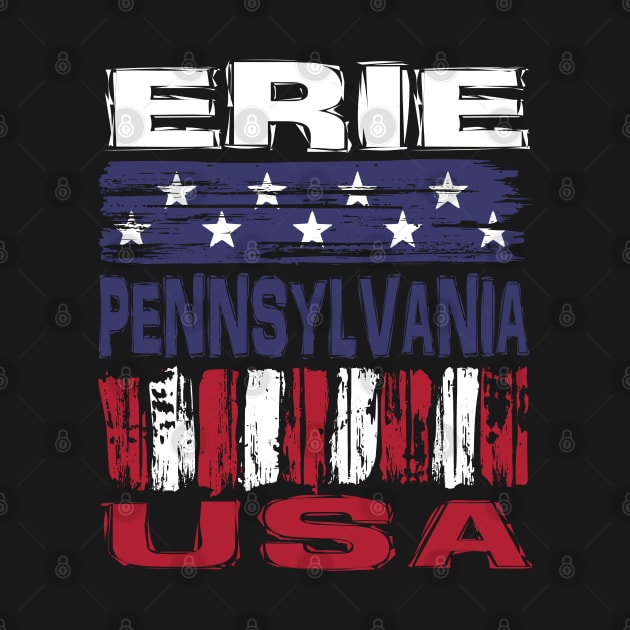 Erie Pennsylvania USA T-Shirt by Nerd_art