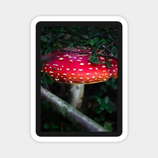 Bright red magical mushroom with white spots deep in the forest Magnet