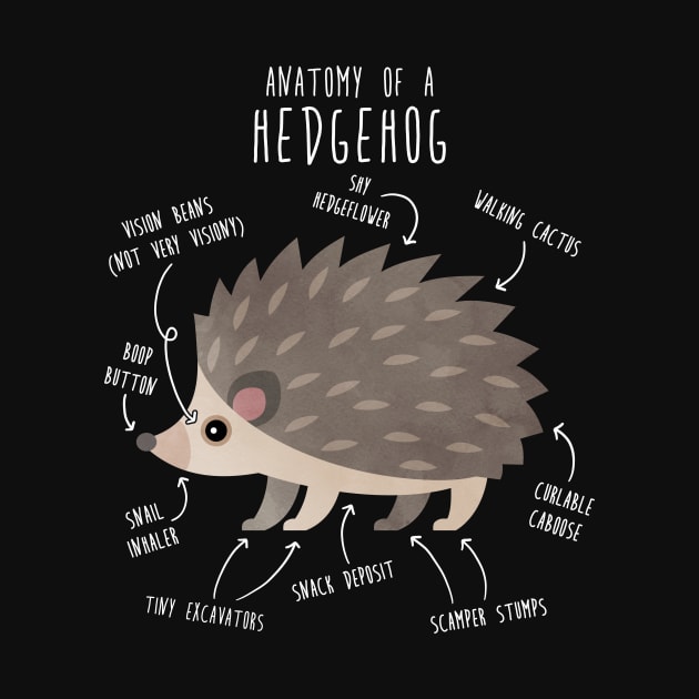 Hedgehog Anatomy by Psitta