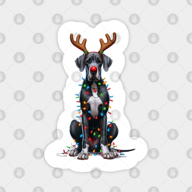 Christmas Red Nose Great Dane Dog Magnet by Chromatic Fusion Studio