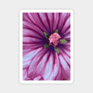 Ultraviolet Flower Purple Nature Magnet