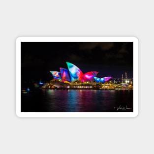 Sydney Opera House during the Vivid Festival. Magnet