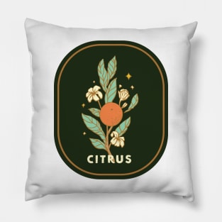 citrus Pillow