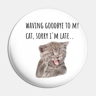 Funny Cat Indoors Pin