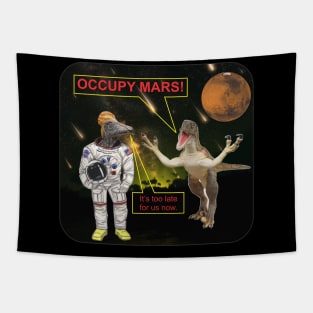 DAoccupyMARS Tapestry