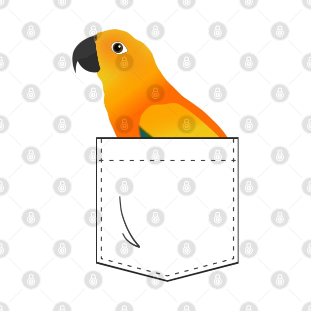 Sun Conure Parrot In Your Front Pocket by Einstein Parrot