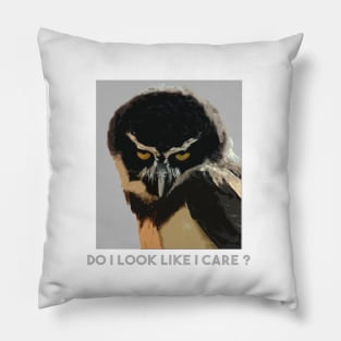 Do I Look Like I Care ? Pillow