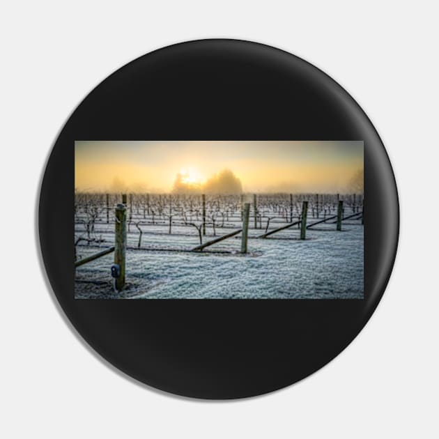 Pinot Noir Pin by blacksands