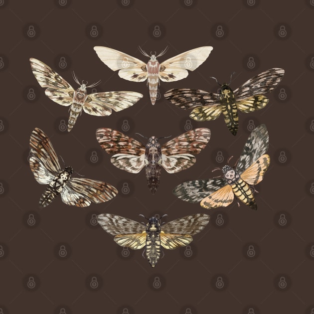 Vintage Moths by uncommontee