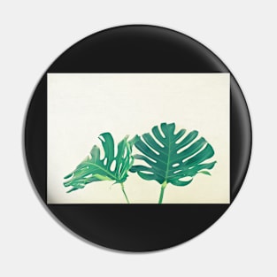 Monstera Leaves Pin