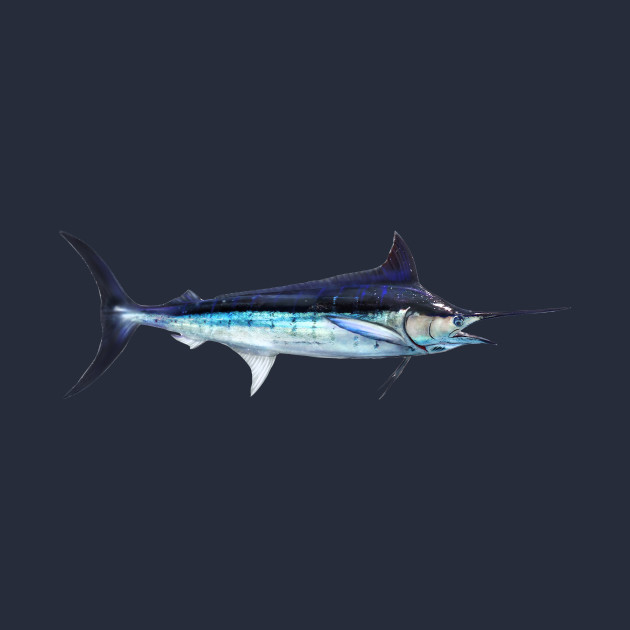 Blue Marlin Size Chart