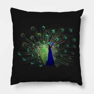 Pfau Pillow