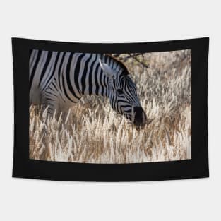 Zebra portrait. Tapestry