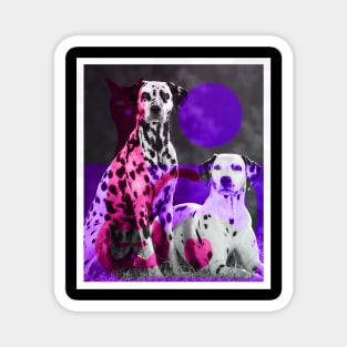 couple dalmatian Magnet