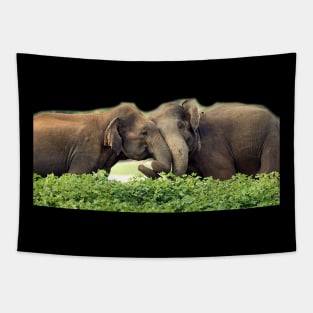 wild, elephant, elephant lover, life Tapestry