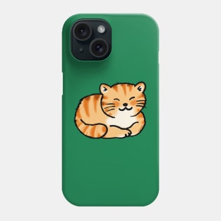 cute orange cat Phone Case