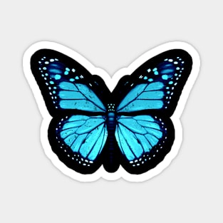 Blue Butterfly Magnet