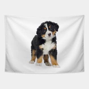 Bernese Mountain Dog Tapestry