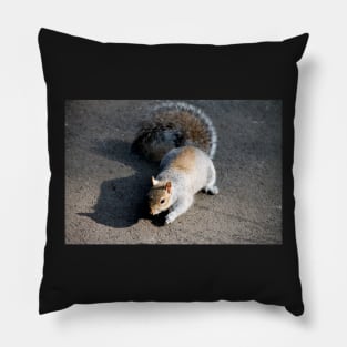 Mr Squirrel, pleased to meet you Pillow