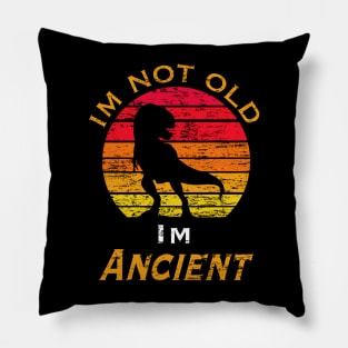 I’m not old I’m ancient Pillow