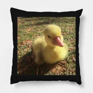 Gosling in the Grass Pillow