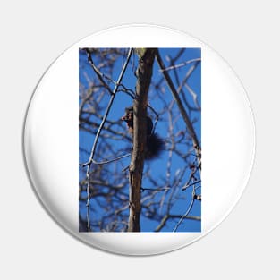 Spy in the Tree Pin