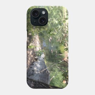 Geese in the Pond Phone Case