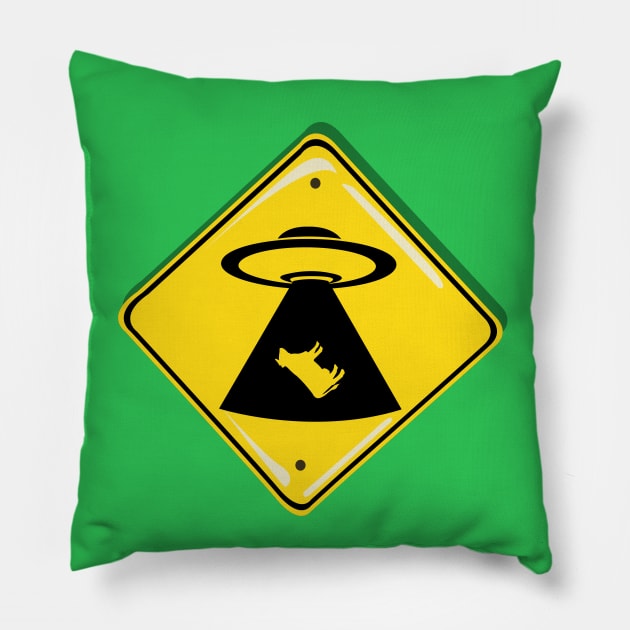 Cosmic Crossing: UFO Abduction Zone Pillow by Fun Funky Designs