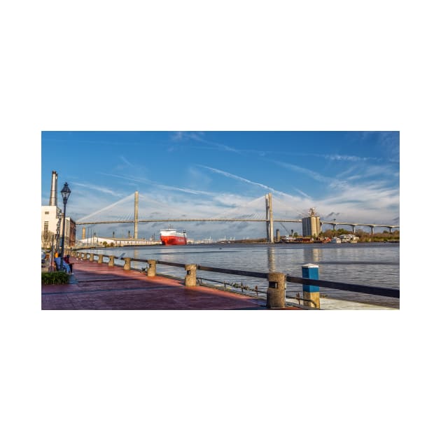 Talmadge Memorial Bridge Savannah by Gestalt Imagery