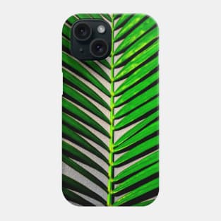 palm leaves photography Phone Case