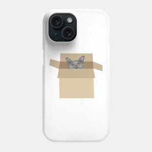 Cat in the box Phone Case