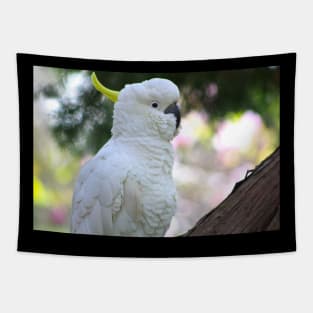 The Sulphur Crested Cockatoo Tapestry