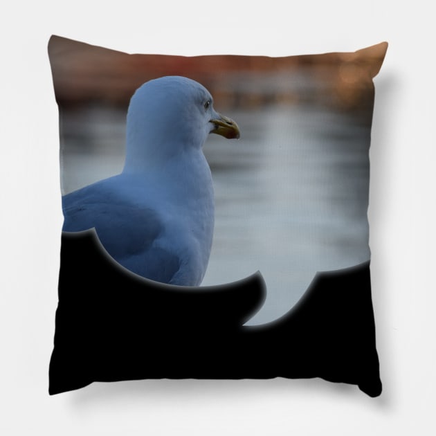 Sunset sunny harbour Seagull in deep thought Pillow by ownedandloved