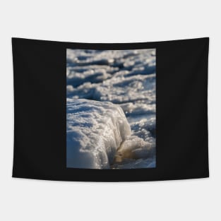 Baltic Sea Tapestry